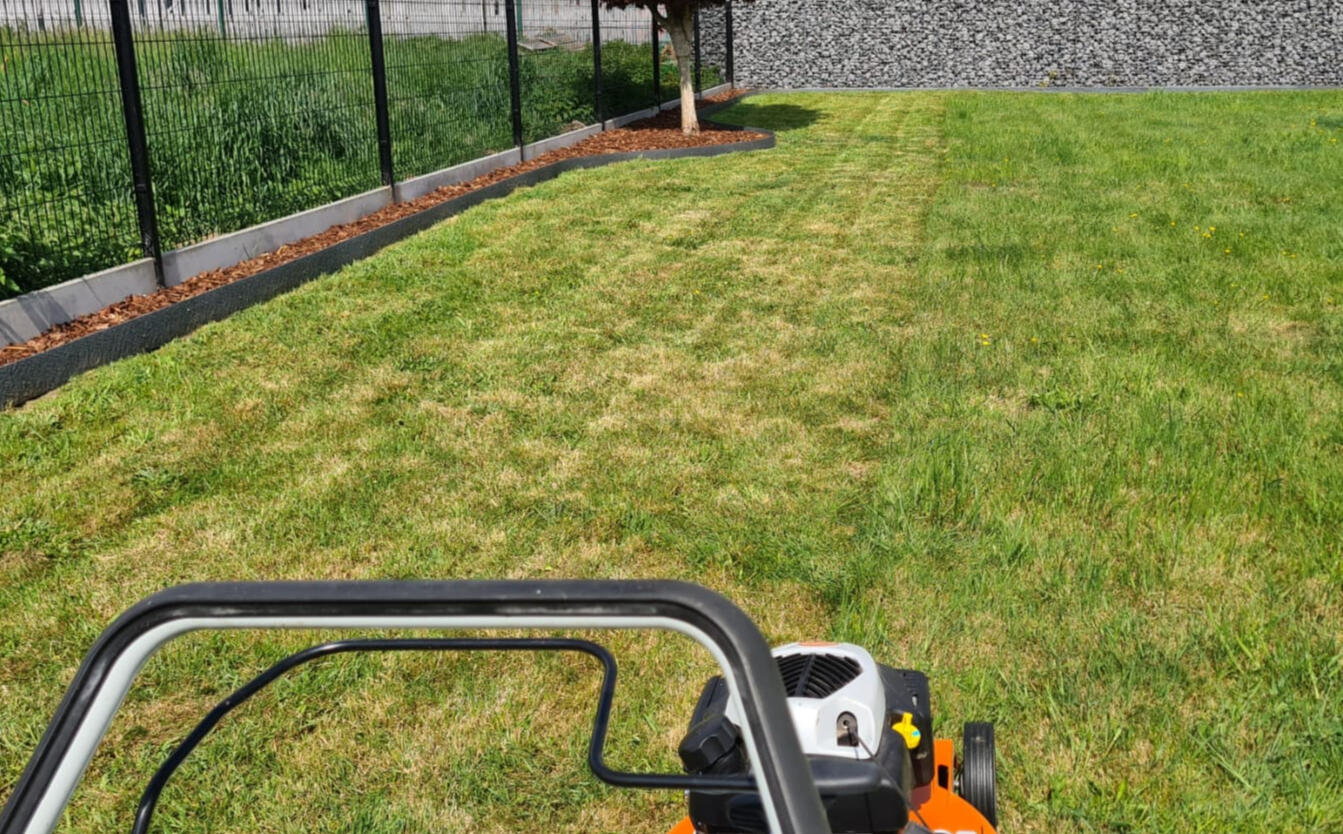 **Tonte de pelouse**